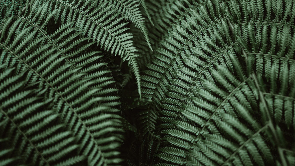 Texture in Photography