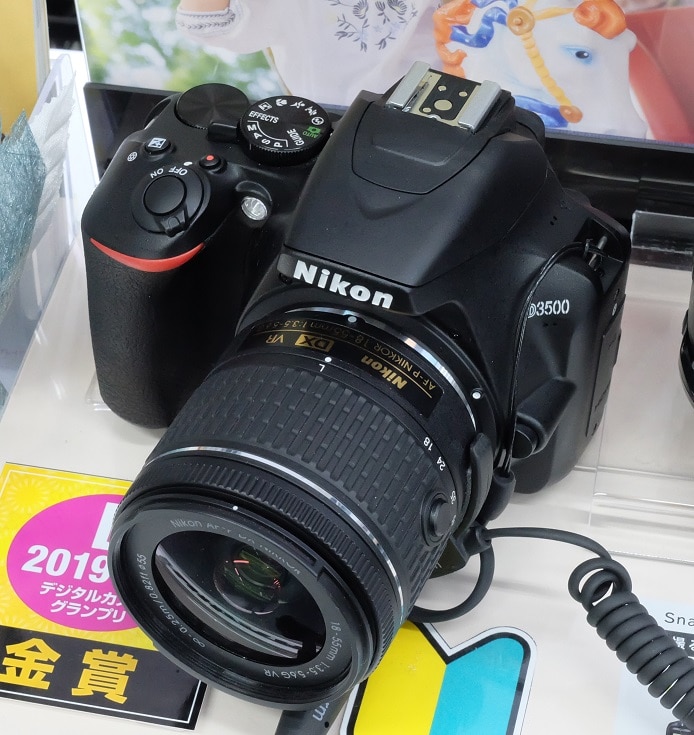Best camera for beginners Nikon D3500