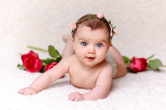 baby Photography