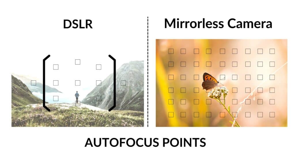 Autofocus Points DSLR vs Mirrorless Camera